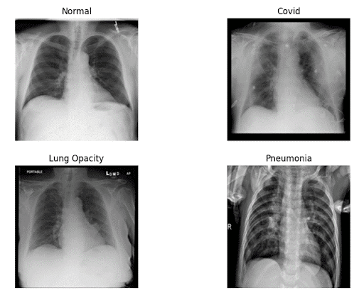 Ground Truth CT Scans